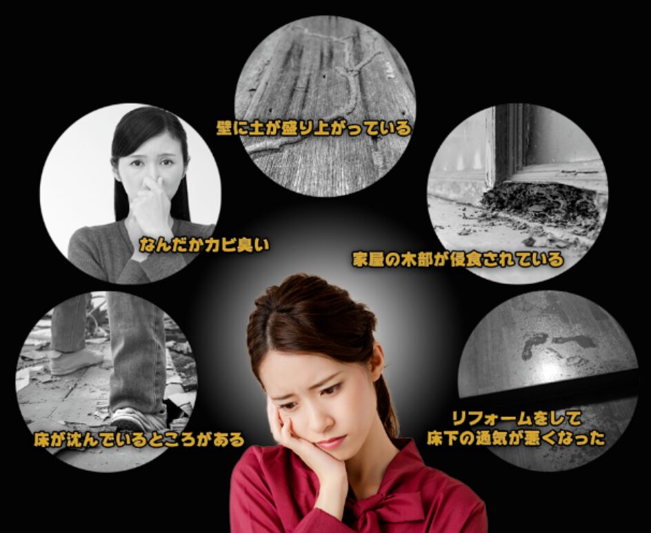 害虫レスキュー隊