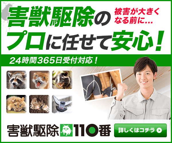 害獣駆除110番