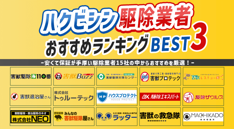 ハクビシン駆除業者おすすめランキング！料金や保証期間など徹底比較