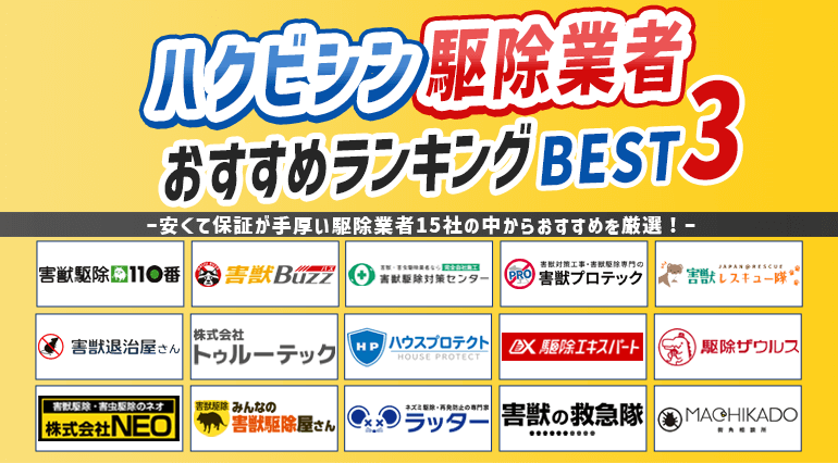 ハクビシン駆除業者おすすめランキング！料金や保証期間など徹底比較