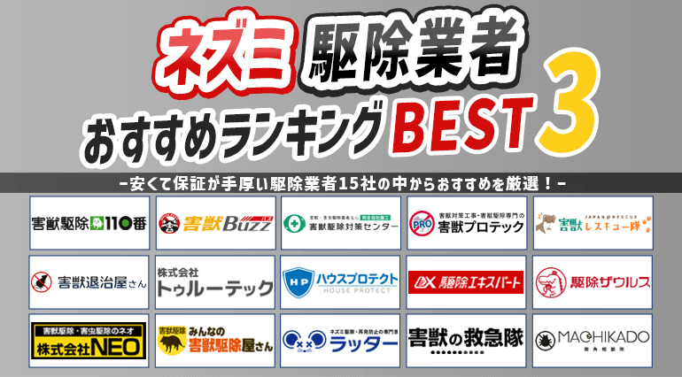 ネズミ駆除業者おすすめランキング！料金や保証期間など徹底比較