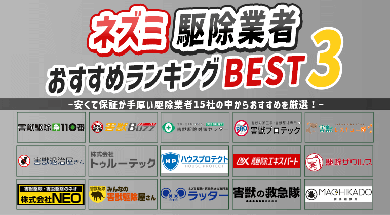 ネズミ駆除業者おすすめランキング！料金や保証期間など徹底比較