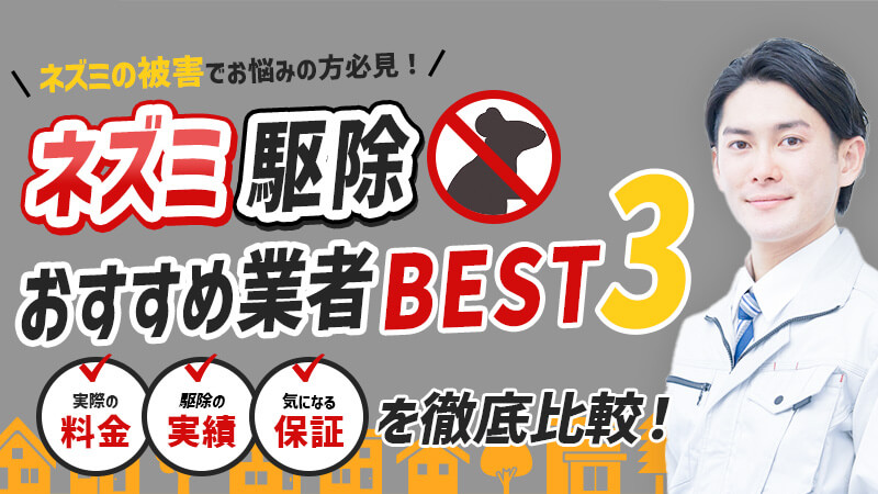 【2025 最新版】ネズミ駆除業者おすすめランキング！の画像